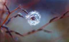 Lampáš neskorej jesene.