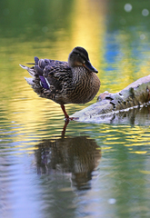 Trochu si zdriemnem.