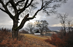Strážcovia.