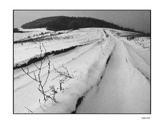 zima