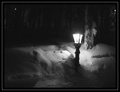 nocna prechadza