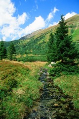 Alpy 2008
