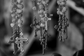 Rosary