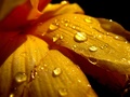 After rain