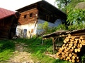 Leto na dedine
