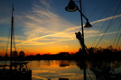 Harbor
