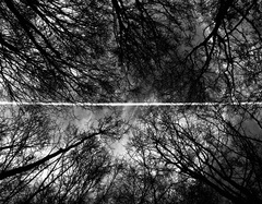 line in black
