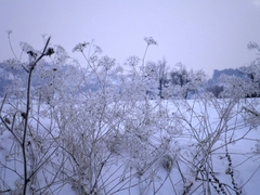 Winter time