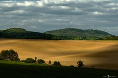 Poľovný revír