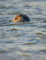 I'm watchin you