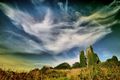 Dunhill Castle