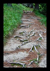 Ten sa práve pohol...