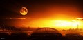 the moon