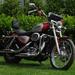 Harley Davidson Sporster 1200