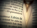 Ľúbim ťa