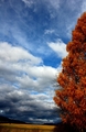 united colors of autumn