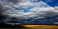 united colors of autumn II