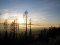 Tatry v hmle