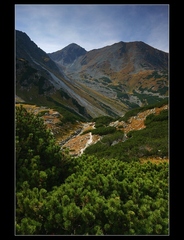 Roháče