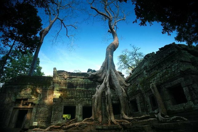 Wat Ta Prom, Angkor Wat, Cambodi