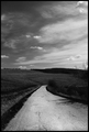b&w street