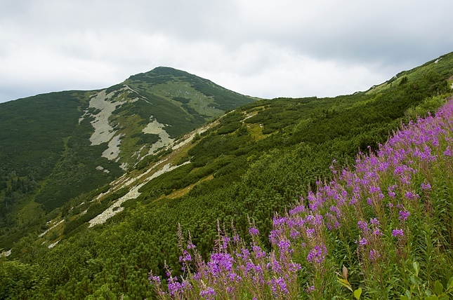 Veľký Kriváň