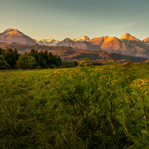 Tam na stráni pod Tatrami