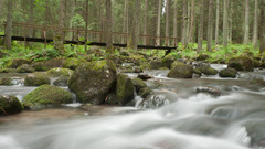 prechadzka