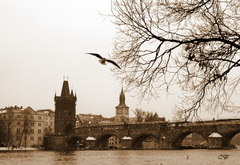 Karlov most