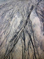 Prirodna malba 2