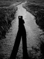 Path of my life