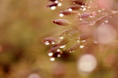 After raining ...