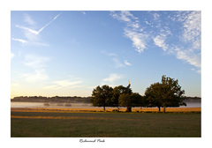 Richmond Park