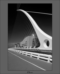 Samuel Beckett Bridge