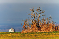 Pred domom UFO..
