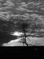 Strom