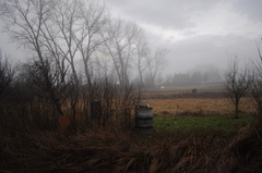 desecho en naturaleza