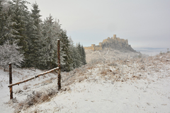 Spišský hrad III