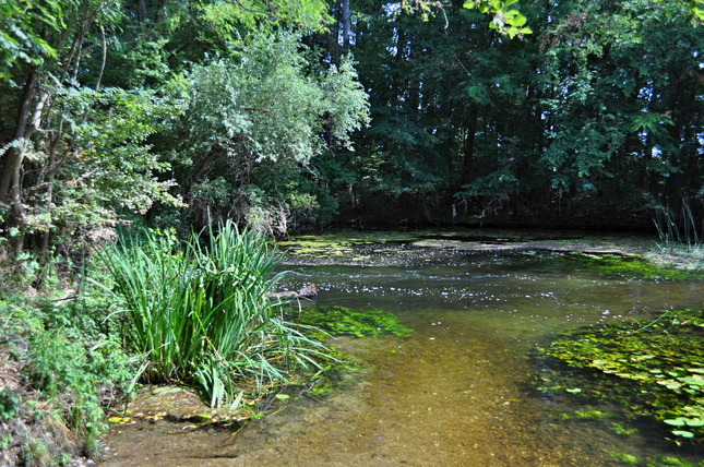 Dunajský Klátov