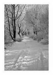 prechádzka zimnou prírodou