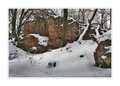 Krajina mrazu IV
