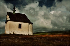 Sivá brada