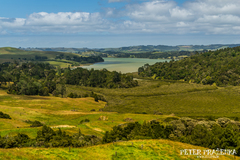 Krajinou NZ #2