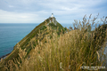 Nugget Point #2