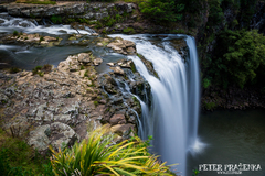 Whangarei Falls #3