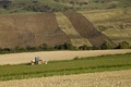 Orba 