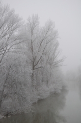 Zima pri Malom Dunaji 2