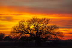 Západ Slnka 8.11.2015