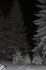 Zima na Donovaloch