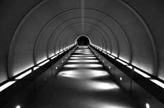 Tunel